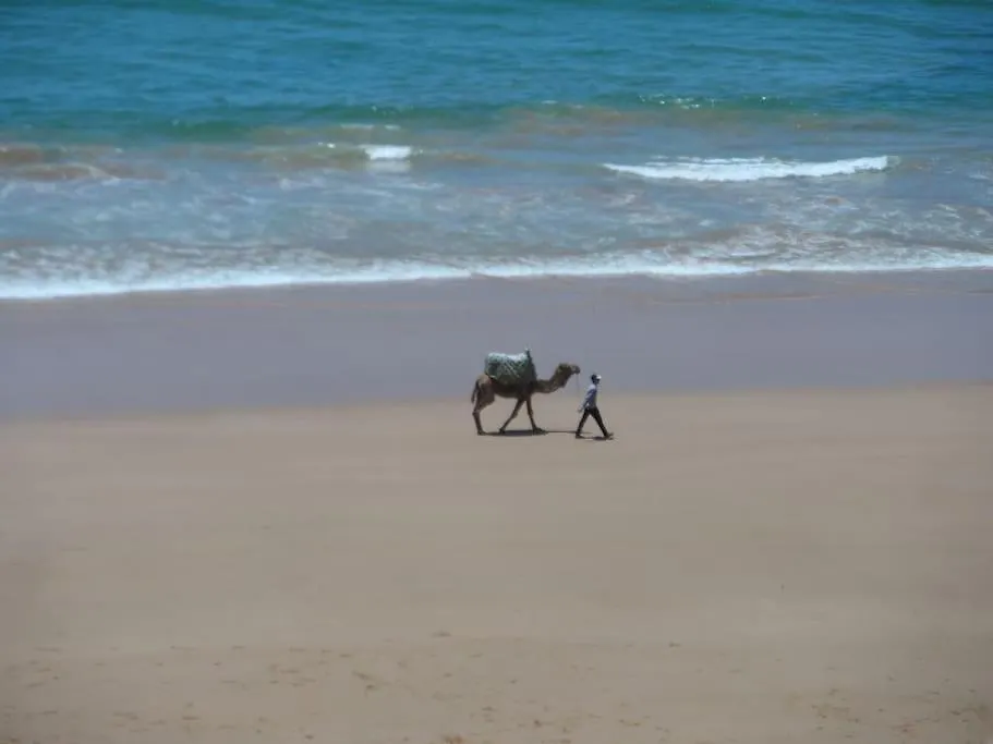 Taghazout Ocean Front Apartments Agadir Marokko
